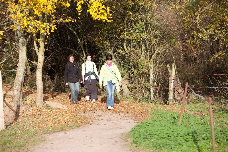 Rando Entre Deux O 2011-2892.jpg